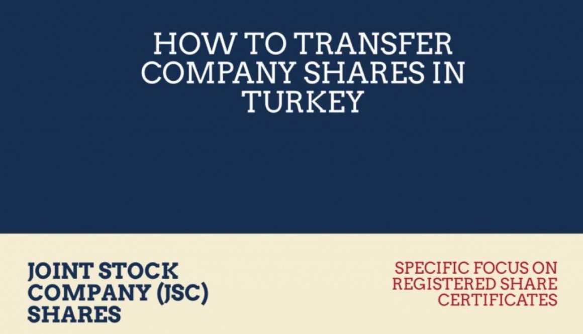 share-transfers-in-turkey-a-visual-summary-infographic